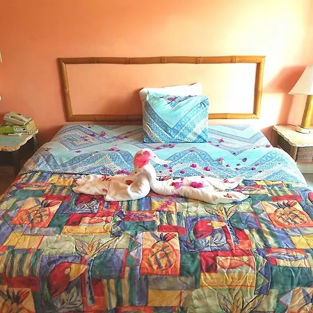 Reggae Reef All Inclusive-2